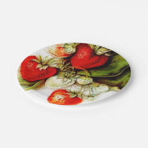 Assiettes En Carton fraise Vintage