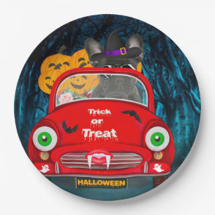 Assiettes En Carton Français Bulldog Driving Car Effrayant Halloween