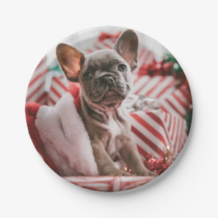 Assiettes En Carton French Bulldog