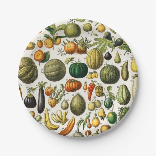 Assiettes En Carton Fruits et légumes (Devant)