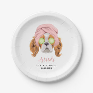 Assiettes En Carton Fun Girls Spa Birthday Party