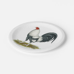 Assiettes En Carton Gamecock Bleu d'argent du jeu américain