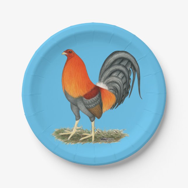 Assiettes En Carton Gamecock Blue Red Roster (Devant)