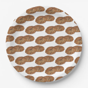 Assiettes En Carton Gingersnap Gingersnap Biscuit Ginger Nut cookies