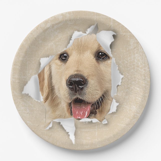 Assiettes En Carton Golden Retriever in Paper Hole (Devant)