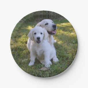 Assiettes En Carton Golden Retriever maman et chiot