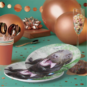 Assiettes En Carton Goofy Delties : Chocolat Brown Labrador Puppy,