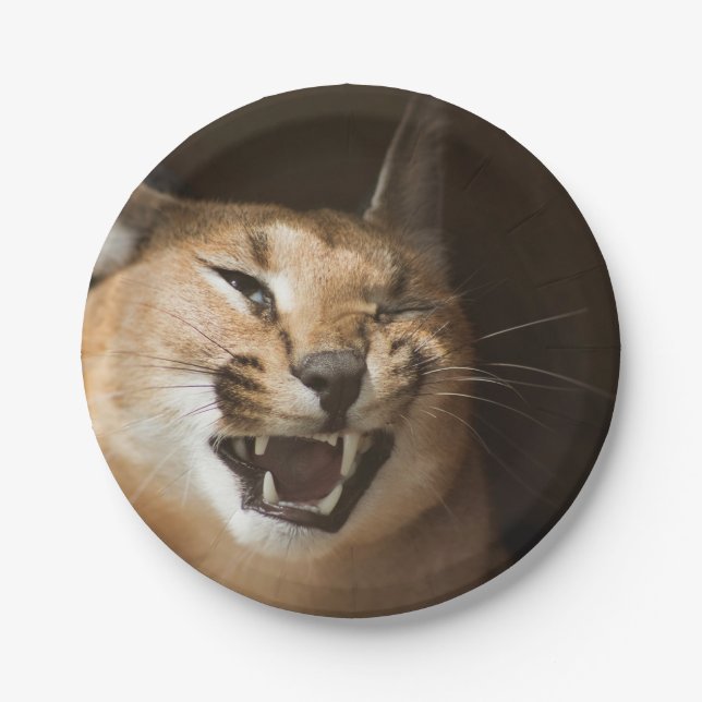 Assiettes En Carton Goofy Lynx (Devant)