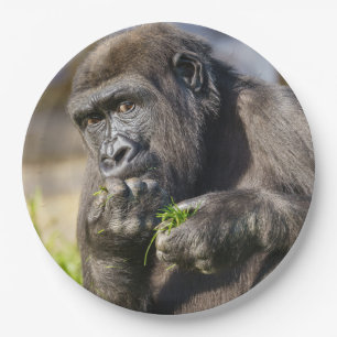 Assiettes En Carton Gorilla Youngster Napkin
