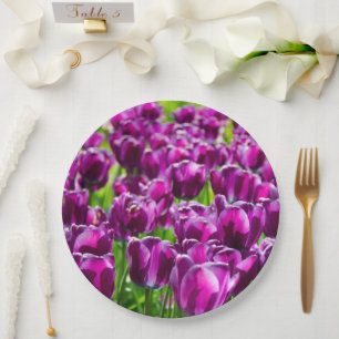 Assiettes En Carton Grand champ de tulipes pourpres