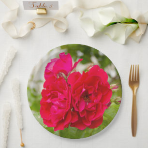 Assiettes En Carton Grandes roses rouges dans le jardin