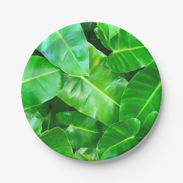 Assiettes En Carton Green feuille Palm Leaf feuillage tropical jungle (Devant)