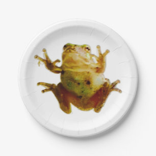 Assiettes En Carton Grenouille amicale 4Frank