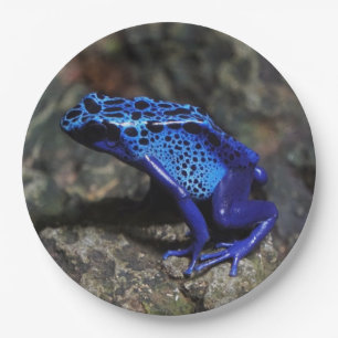 Assiettes En Carton Grenouille bleue poison, grenouille bleue vive