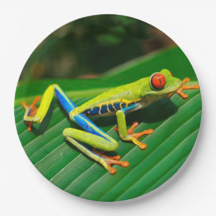 Assiettes En Carton Grenouille d'arbre aux yeux rouges de vert