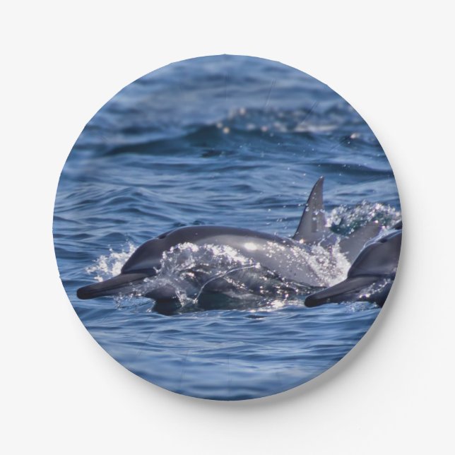 Assiettes En Carton Groupe de dauphins de goulot (Devant)