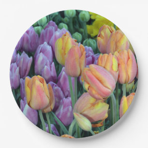 Assiettes En Carton Groupes de Coloful de tulipes