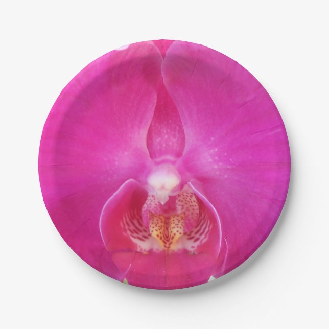 Assiettes En Carton Guda (Devant)