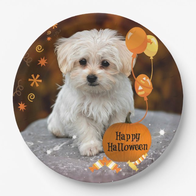 Assiettes En Carton Halloween, Chiot Maltais, (Devant)