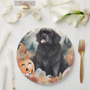 Assiettes En Carton Halloween Terre-Neuve avec citrouilles épouvantabl