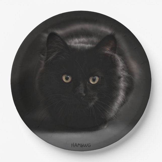 Assiettes En Carton HAMbWG - Plaques papier personnalisées 9" - Chat n (Devant)