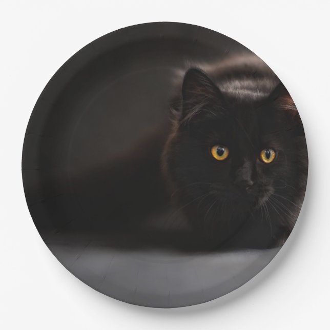 Assiettes En Carton HAMbyWG - Plaques papier personnalisées 9" - Chat  (Devant)