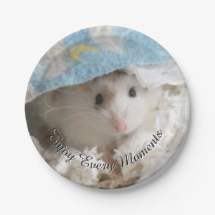 Assiettes En Carton Hammyville - hamster mignon