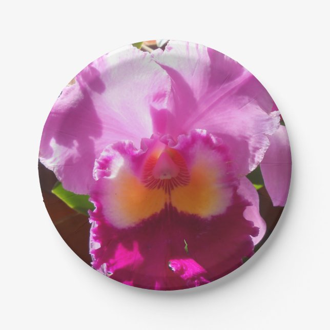 Assiettes En Carton Harlinde (Devant)