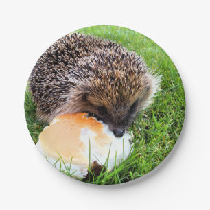 ASSIETTES EN CARTON HÉDGEHOG