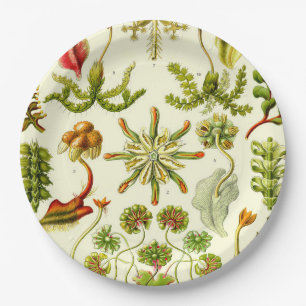 Assiettes En Carton Hépatiques d'Ernst Haeckel
