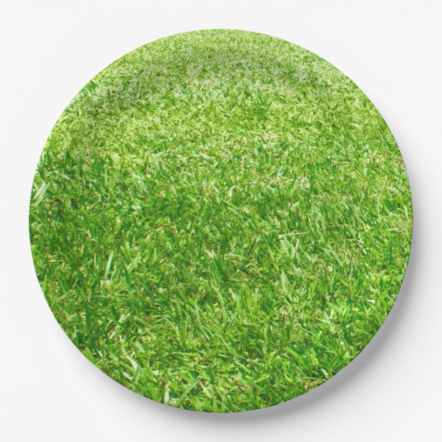 Assiettes En Carton Herbe (Devant)