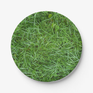 Assiettes En Carton herbe verte