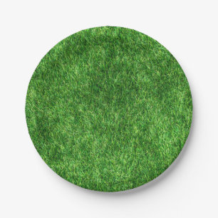 Assiettes En Carton Herbe verte