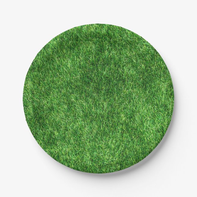 Assiettes En Carton Herbe verte (Devant)