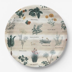 Assiettes En Carton Herbes Fleurs Plantes