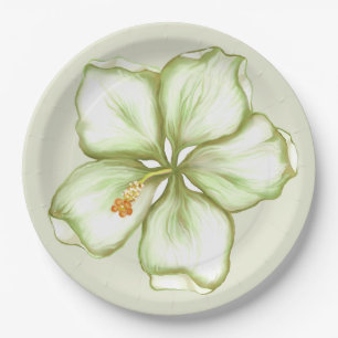 Assiettes En Carton Hibiscus & dentelle BLANC