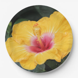 Assiettes En Carton hibiscus jaune