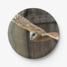 Hibou de grange