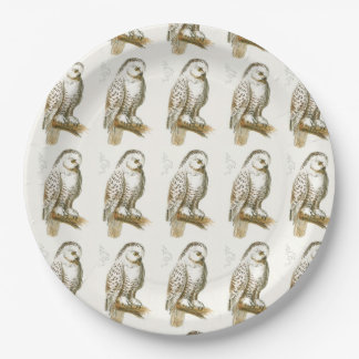 Assiettes En Carton Hibou de Milou