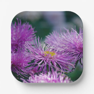 Assiettes En Carton Histoires de fleurs / Aster Flower