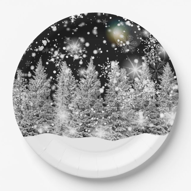 Assiettes En Carton Hiver Solstice neige (Devant)