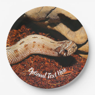 Assiettes En Carton Hognose Pet Snack
