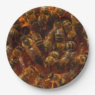 ASSIETTES EN CARTON HONEYBEES 7