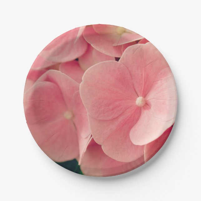 Assiettes En Carton Hortensia Hydrangea pink pastel flowers (Devant)