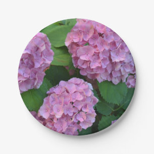 Assiettes En Carton Hortensia hydrangea rose
