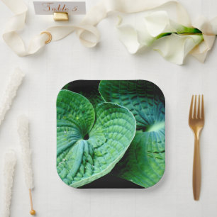 Assiettes En Carton Hosta Heart