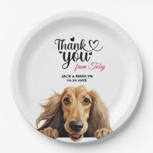 Assiettes En Carton Hound afghan