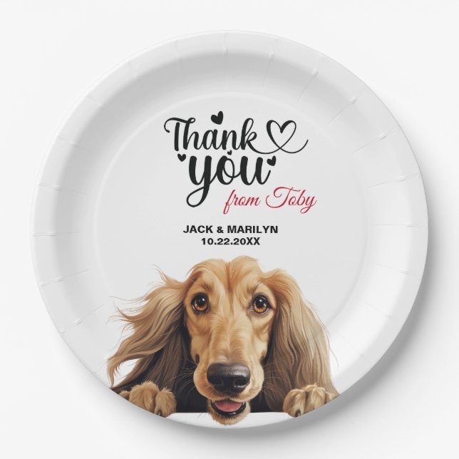 Assiettes En Carton Hound afghan (Devant)
