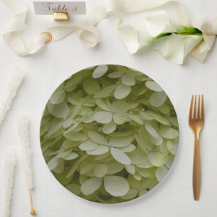 Assiettes En Carton Hydrangea Floral Celadon Vert