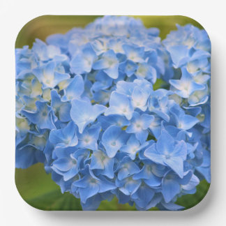 Assiettes En Carton Hydrangea Plates